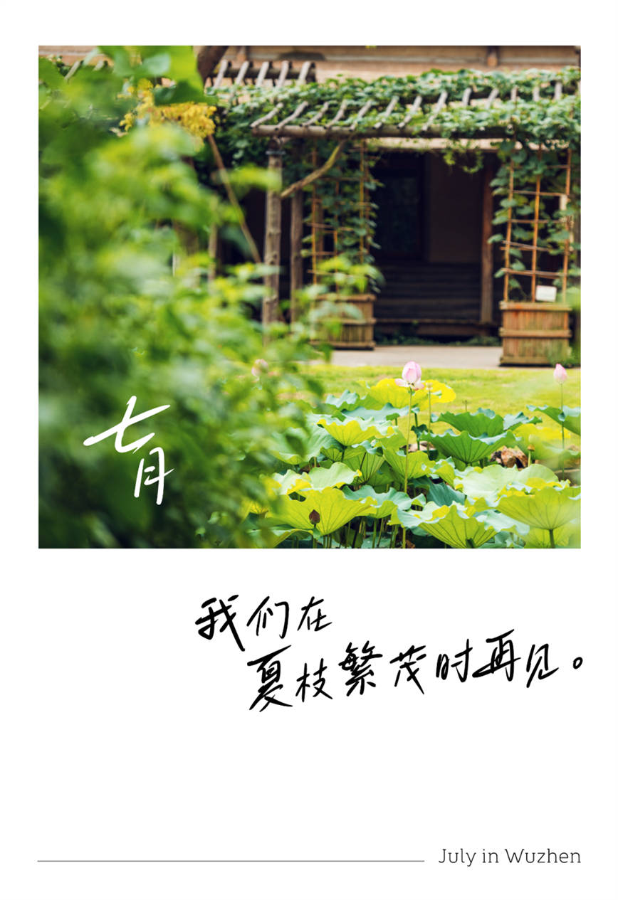 640 (14)_副本(ben)1.jpg